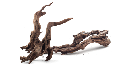 Fine sinking wood
